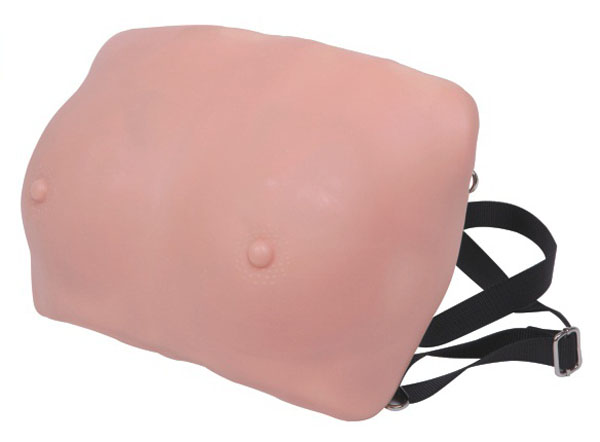 康人 高級產(chǎn)前宮頸變化與產(chǎn)道關(guān)系模型 KAR/9A 