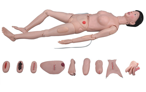 上?？等?高級全功能護(hù)理人訓(xùn)練模型（女性） KAR/2200