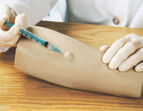 康人 高級(jí)手臂皮內(nèi)注射模型 KAR/S11 