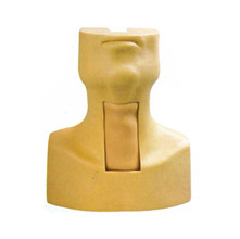 高級(jí)氣管切開插管訓(xùn)練模型KAS/53 