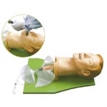  高級(jí)多功能氣道管理模型KAS-51  可以真實(shí)地模仿多重 生理變化的場(chǎng)景