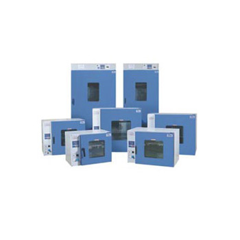 上海一恒鼓風(fēng)干燥箱DHG-9030(A)(101-0)  