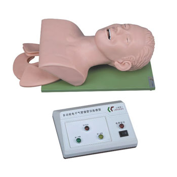 電子人體氣管插管訓(xùn)練模型KAR/3