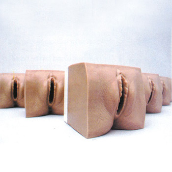 高級產(chǎn)前宮頸變化與產(chǎn)道關(guān)系模型KAR/9A