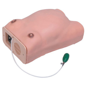 高級(jí)電腦孕婦檢查模型KAR/W