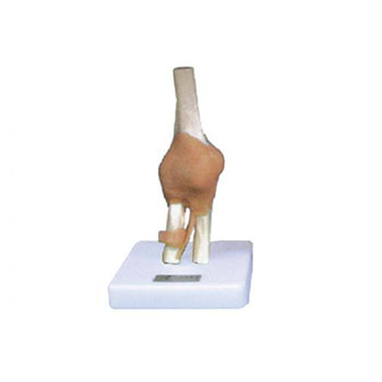 節(jié)功能模型KAR/11209-5