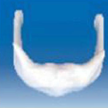 舌骨放大模型KAR/11122