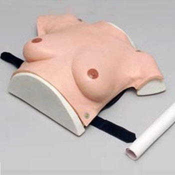 高級(jí)著裝式乳房自檢模型KAR/14B