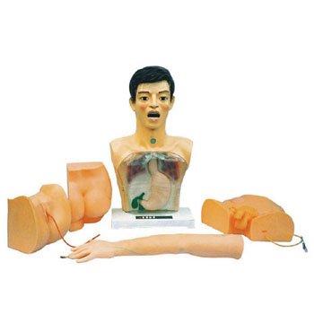 新型基礎護理模型KAR/A