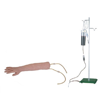  高級手臂靜脈穿刺訓練模型KAR/S1  