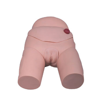 高級女性導尿模型KAR/D4