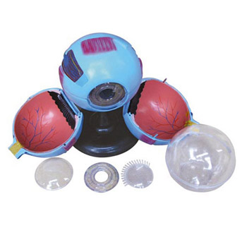 益聯(lián)眼結構放大模型YLM2095