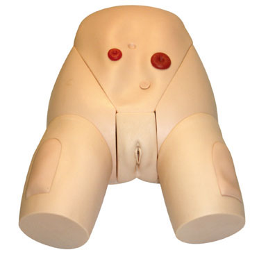  高級整體女性導尿模型KAS-E2  