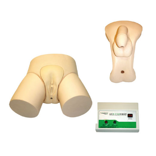 電子導(dǎo)尿灌腸教學(xué)實(shí)習(xí)模型KAS-D