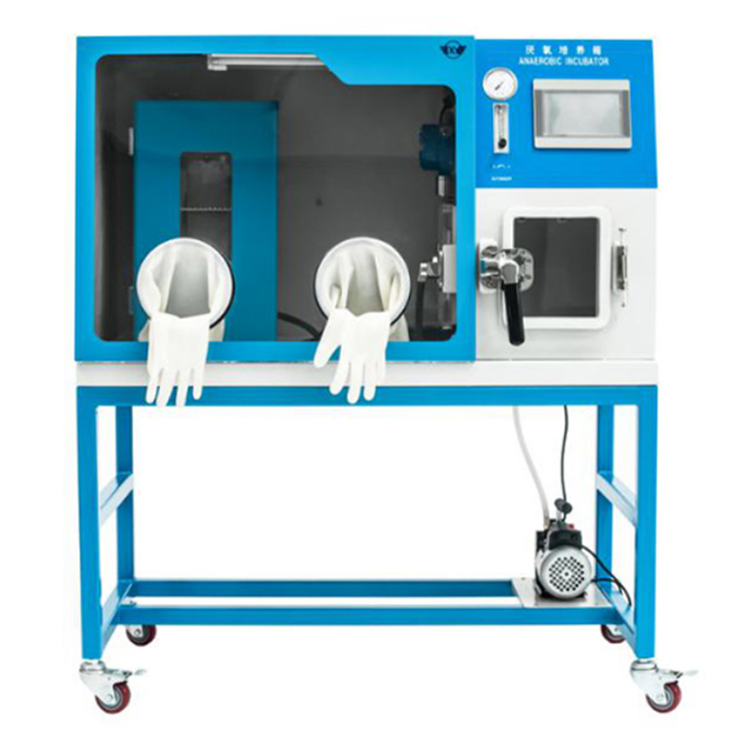 創(chuàng)凱翼厭氧培養(yǎng)箱KYA-3T