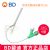 BD 碧迪靜脈留置針18G 直型 Intima II 竸瑪 密閉式 貨號(hào)383005