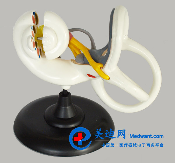 益聯(lián) 內(nèi)耳放大模型 YLM2094 益聯(lián) 內(nèi)耳放大模型 YLM2094