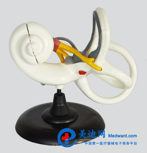 益聯(lián) 內(nèi)耳放大模型 YLM2094 益聯(lián) 內(nèi)耳放大模型 YLM2094