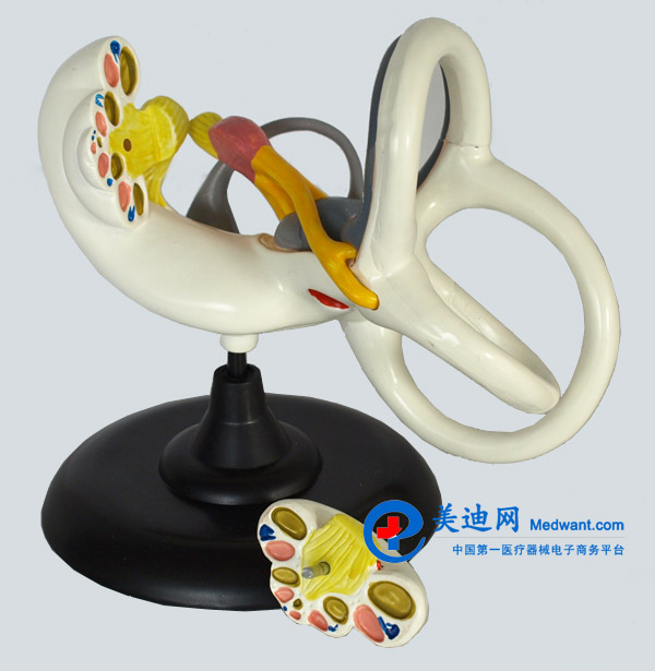 益聯(lián) 內(nèi)耳放大模型 YLM2094 益聯(lián) 內(nèi)耳放大模型 YLM2094