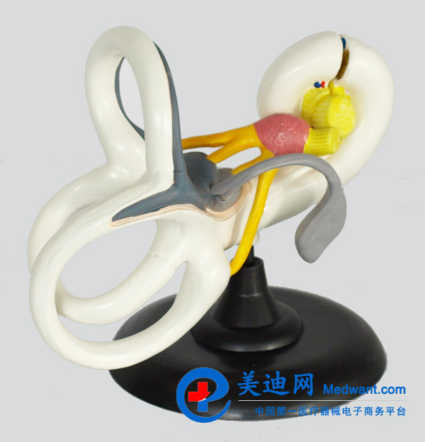 益聯(lián) 內(nèi)耳放大模型 YLM2094 益聯(lián) 內(nèi)耳放大模型 YLM2094