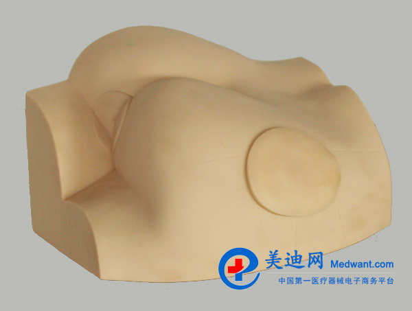 益聯(lián) 臀部注射實(shí)習(xí)模型 KAS-S14 益聯(lián) 臀部注射實(shí)習(xí)模型 KAS-S14