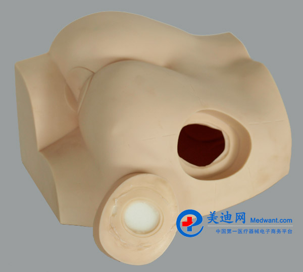 益聯(lián) 臀部注射實(shí)習(xí)模型 KAS-S14 益聯(lián) 臀部注射實(shí)習(xí)模型 KAS-S14