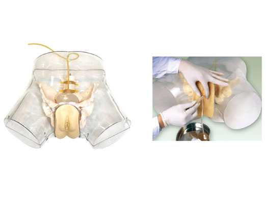 高級(jí)透明女性導(dǎo)尿模型 KAS-F2